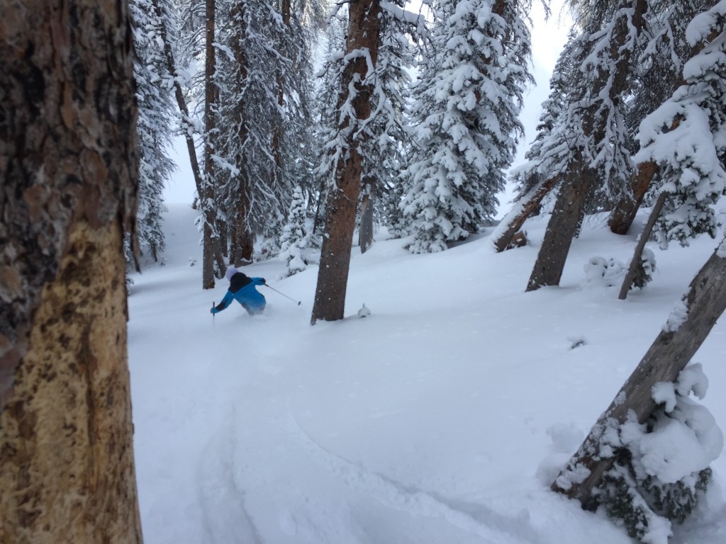 spyder chambers - to test this ski jacket, we went skiing. a lot.