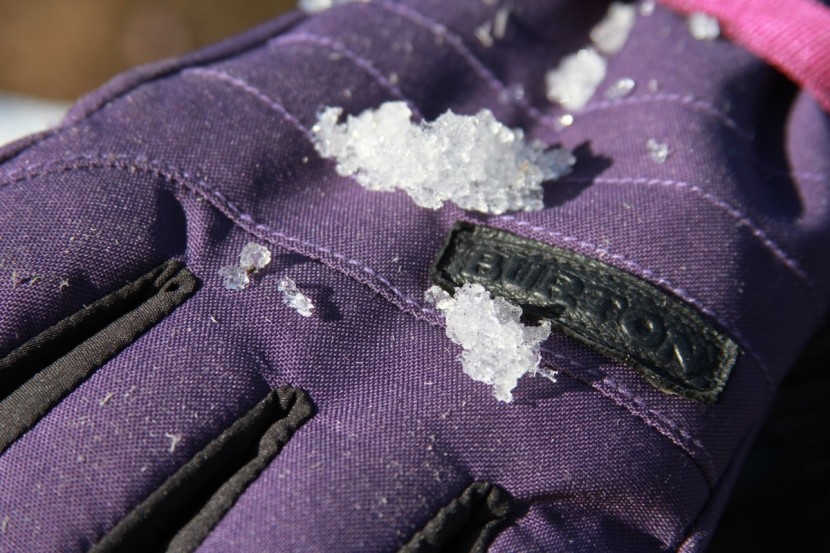 Burton Deluxe Gore-Tex - Women's Review | Tested