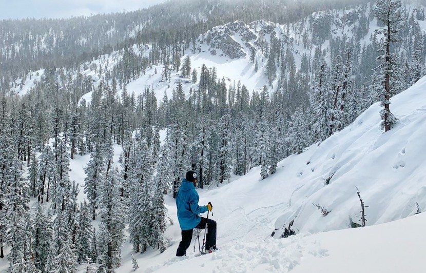 ski pants womens - the foxy bib from flylow is powder day approved.