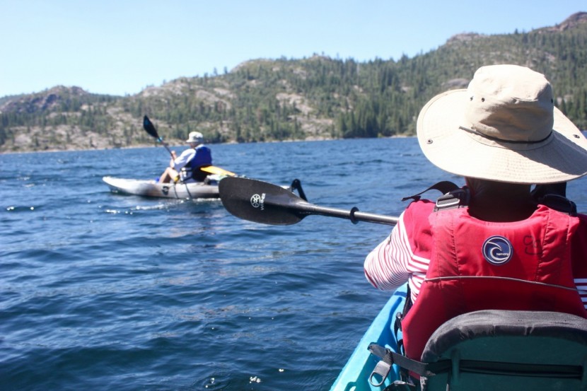 werner kalliste - there are cheaper paddles available, but if you&#039;re looking for a...