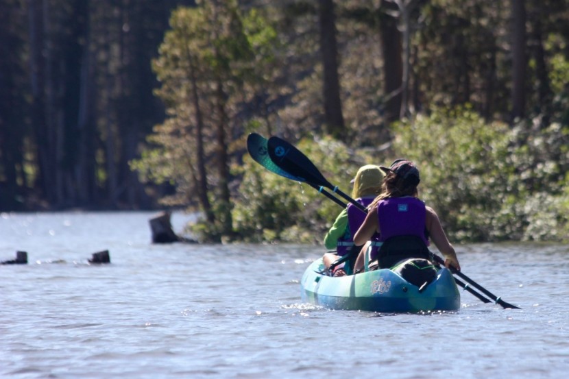 kayak paddle - the performance of each paddle was analyzed side by side.