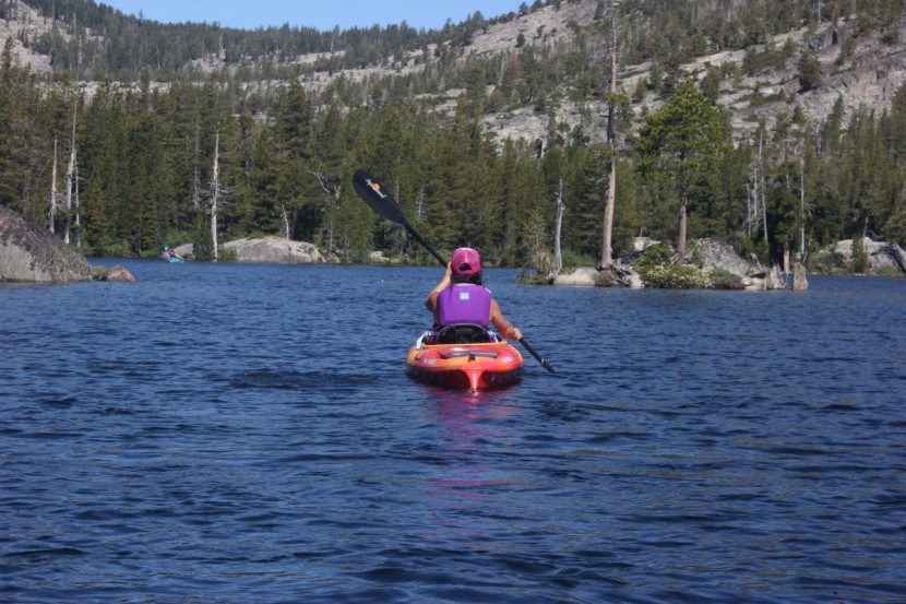 kayak paddle - the aqua bound sting ray carbon is light, durable and well balanced...