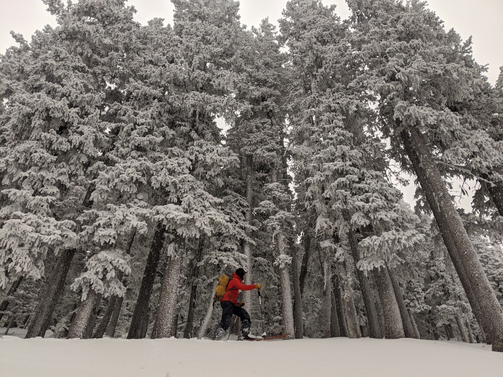 wind breaker jacket - windbreakers are a great choice for keeping us dry and protected...