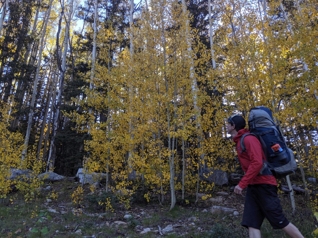 patagonia houdini air - the trees are pretty, but don&#039;t forget to watch where you&#039;re going!...