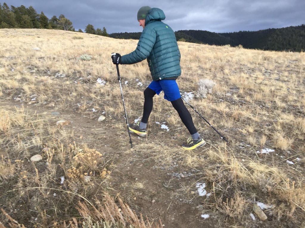 Aluminum Collapsible Ultralight Travel Trekking Hiking Pole for Men and  Women