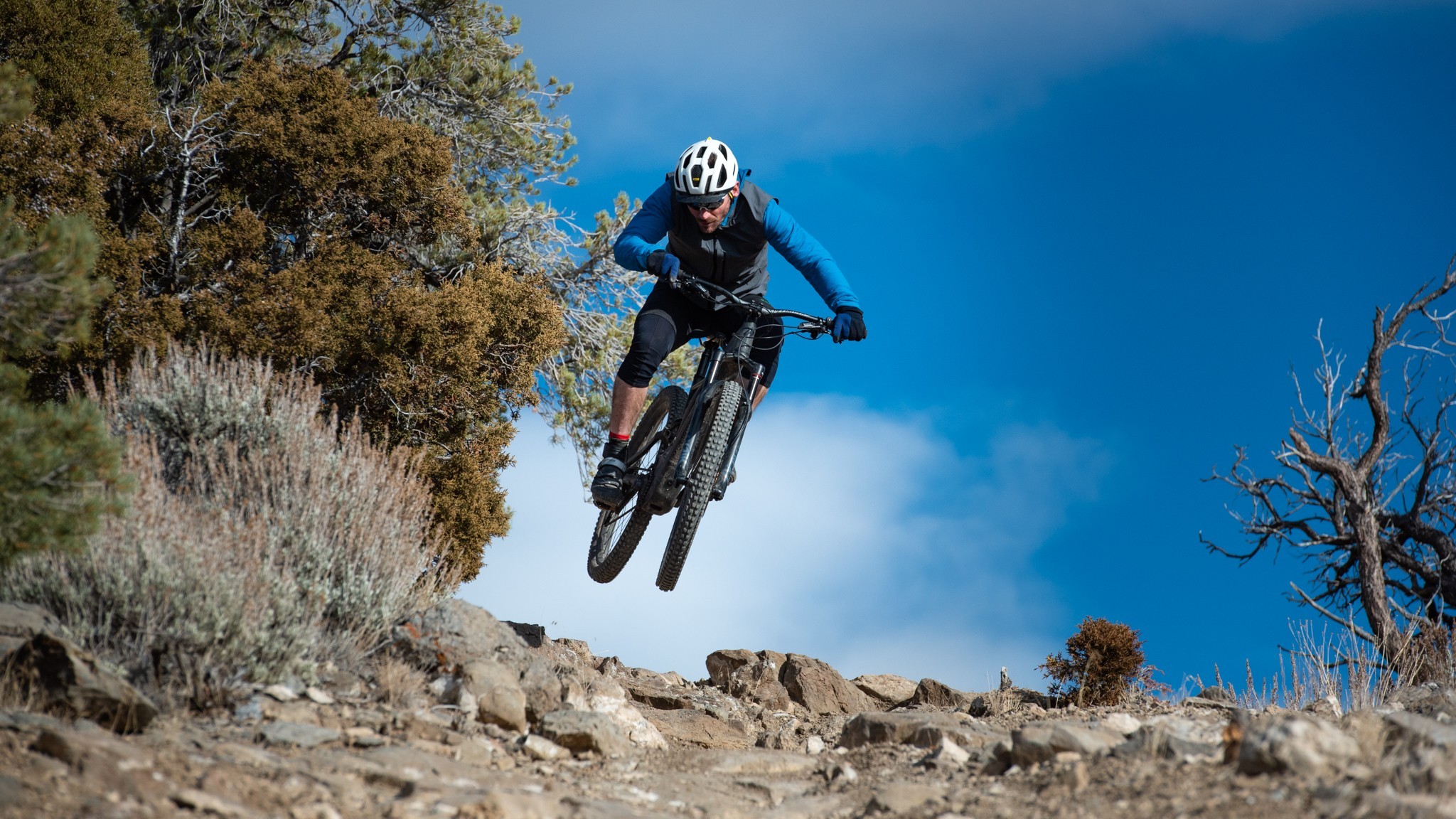 The 4 Best Electric Mountain Bikes of 2024 Tested