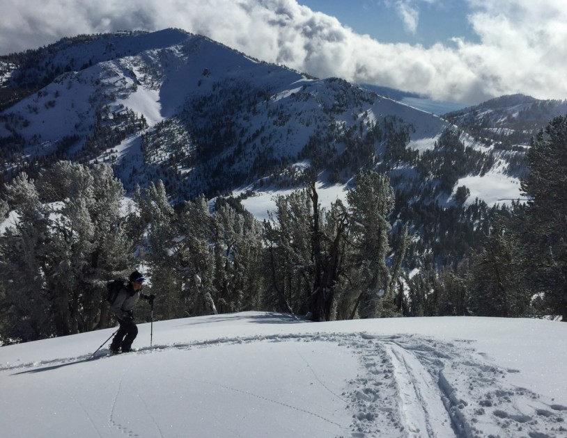 venture  storm - the venture storm is one of the heaviest models in the category but...