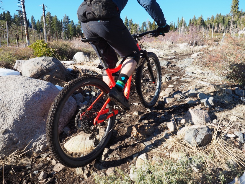 vittoria agarro 2.6 - the agarro has decent pedaling bite, but it gets a little funky over...