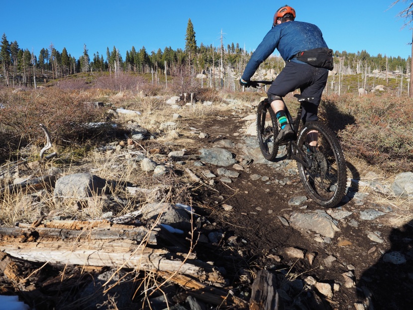 mountain bike tires - the michelin wild enduro rear sure ain&#039;t light. but it delivers...