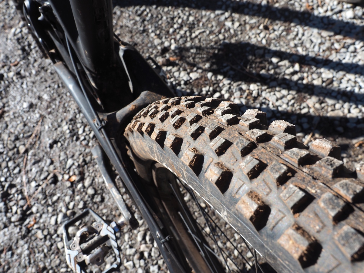 Michelin Wild Enduro Rear 2.4 Review (Up close and personal with the Wild Enduro Rear.)