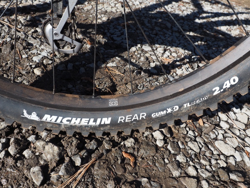 mountain bike tires - a tire&#039;s sidewall typically tells you everything you need to know.