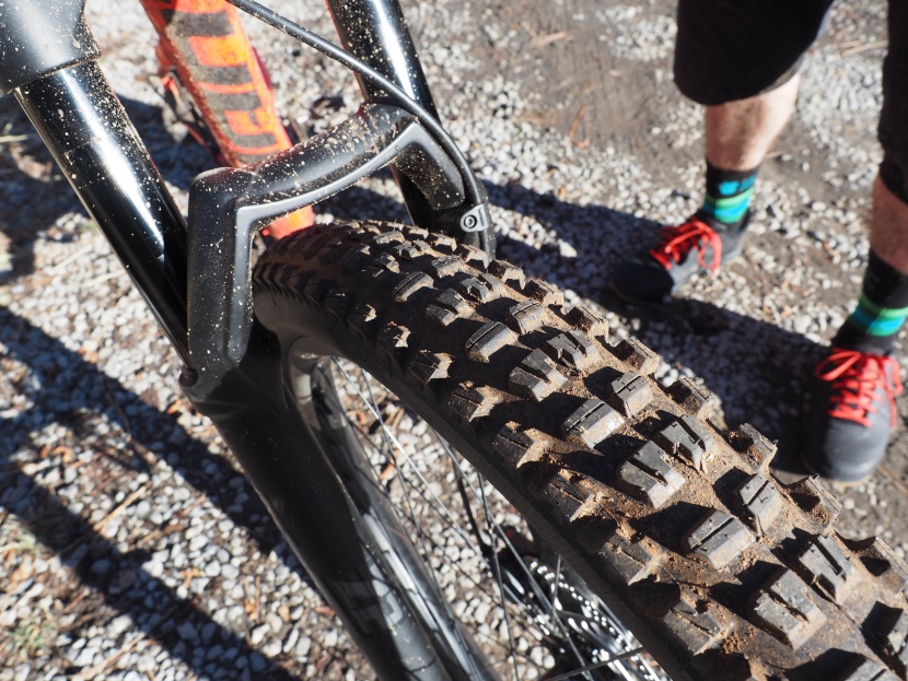 e*thirteen all-terrain race 2.4 - our test tire has shown little, if any, signs of wear.