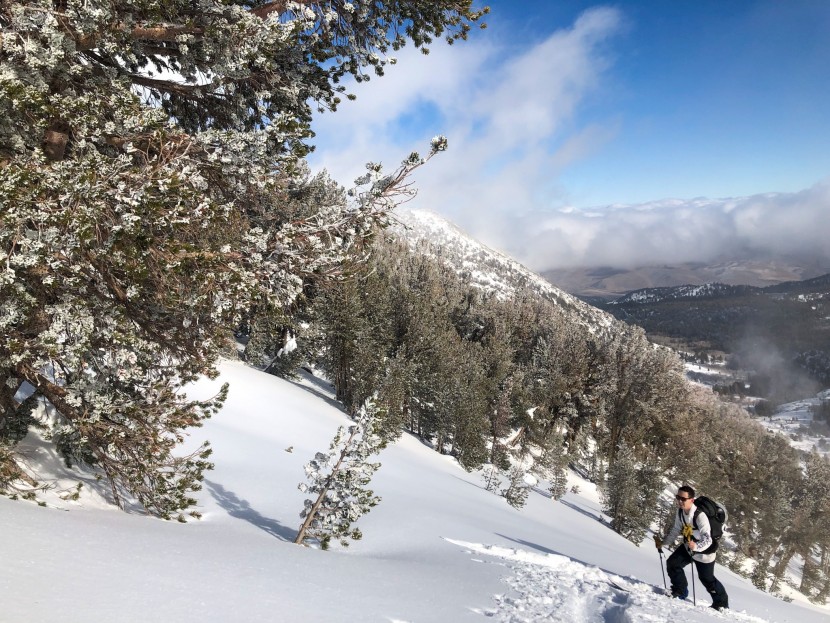jones frontier splitboard - one foot after the other. it's easier with a good view and a...