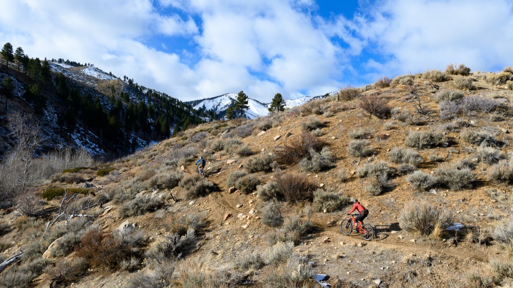 giant trance 29 3 - its quick, comfortable, and efficient on the climbs.