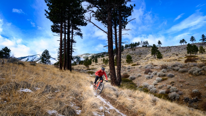 budget mountain bike - to test the downhill performance of these bikes we ride them...