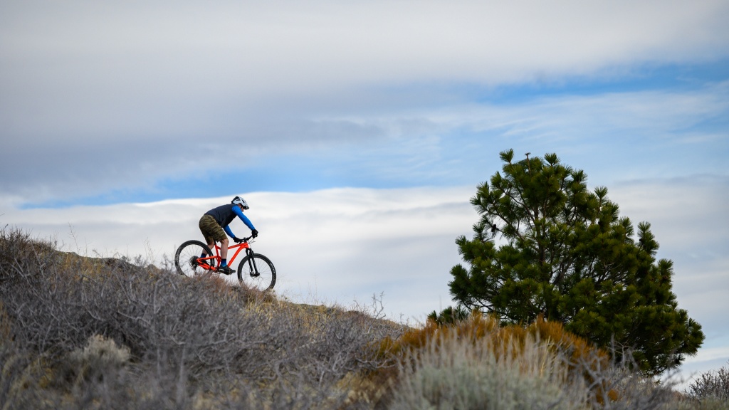 giant trance 29 3 - it might be short on travel, but the trance 29 3 is big on fun.