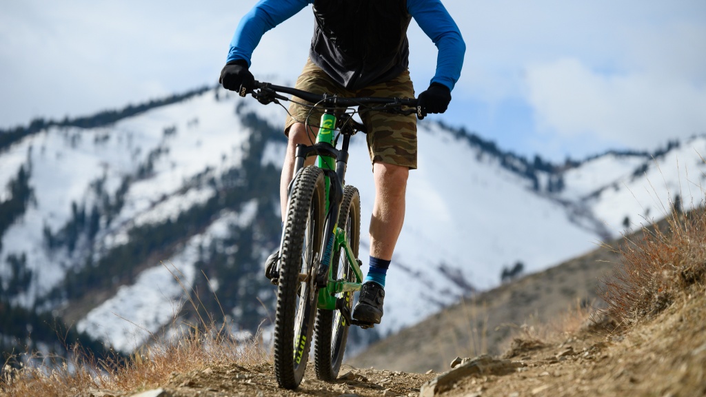 The 10 Best Mountain Bike Shoes GearLab