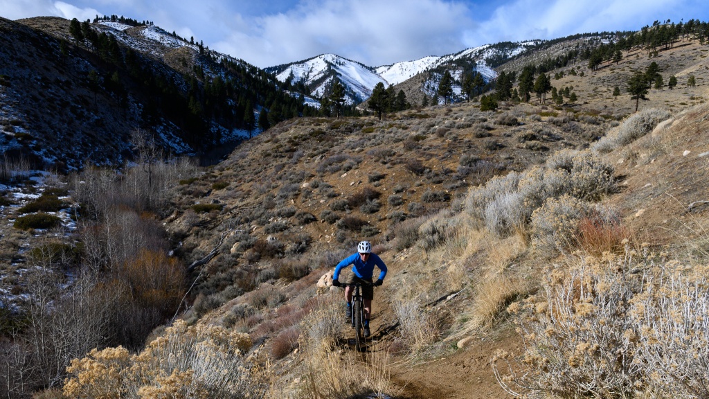 trek fuel ex 5 - it&#039;s not the most efficient climber of the bunch, but the fuel ex...