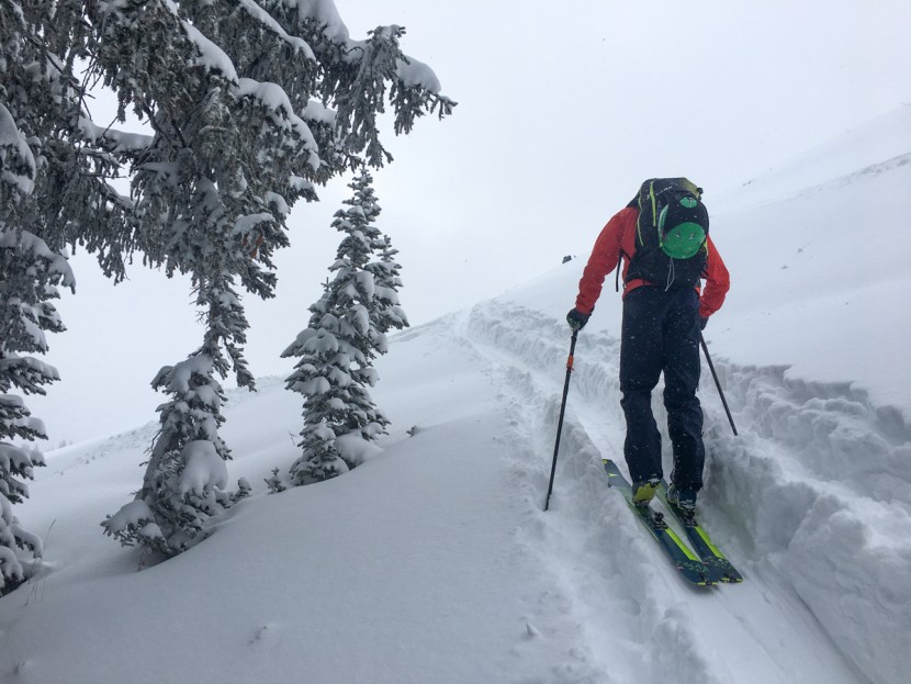 ski trab titan vario - other than trickier entry, using the ski trab vario is pretty...