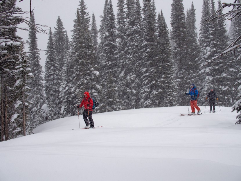 ski trab titan vario - touring in relatively lightweight ski bindings is a joy. you will...