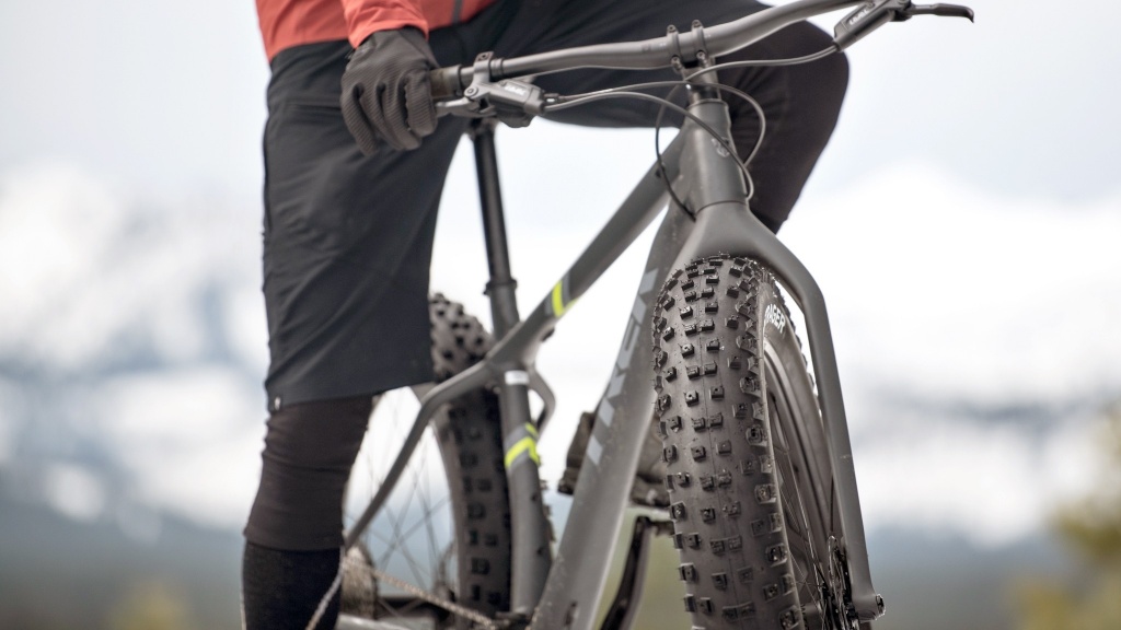 Rigid fat online bike