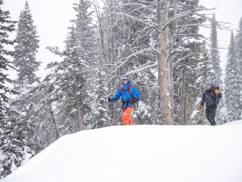 colltex mohair mix - for skinning you want ready forward glide. the colltex slide forward...