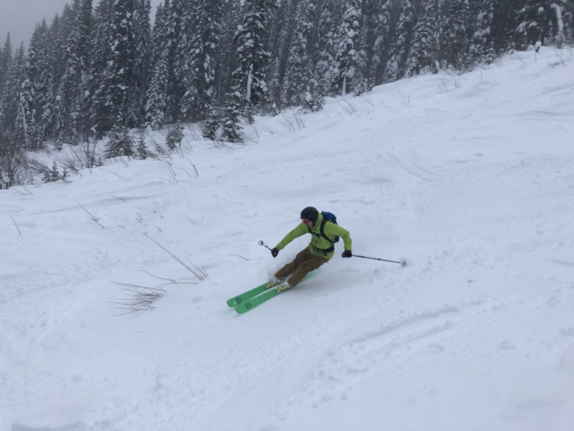 hestra power heater glove - the power heater gloves are a great choice for skiers who want just...