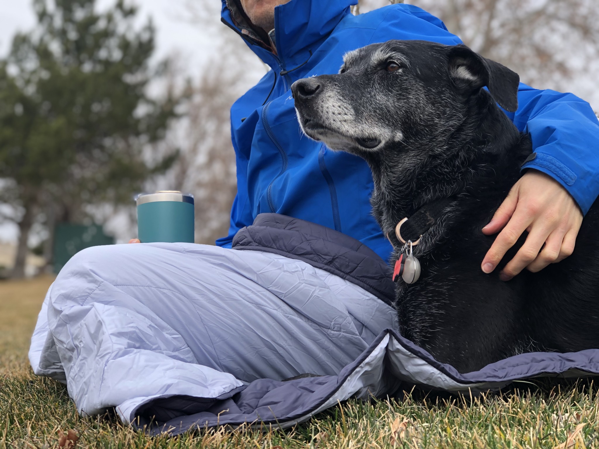 REI Coop Camp Review Tested & Rated