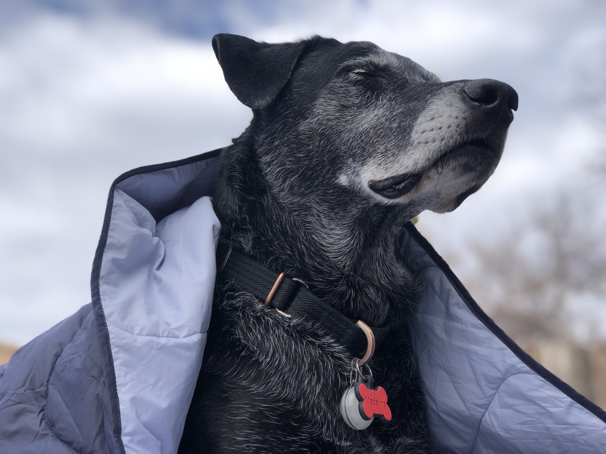 REI Coop Camp Review Tested & Rated