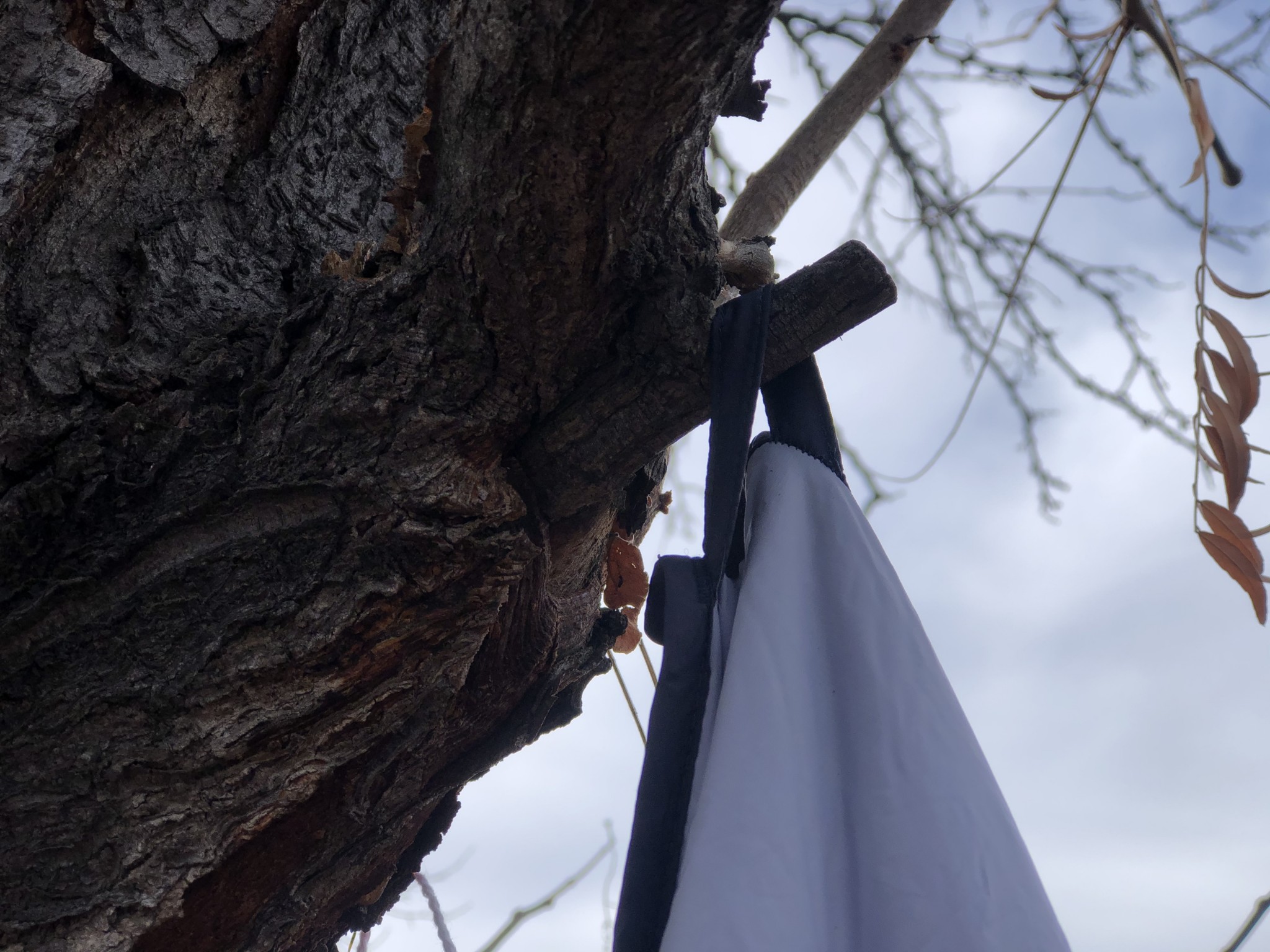 REI Coop Camp Review Tested & Rated