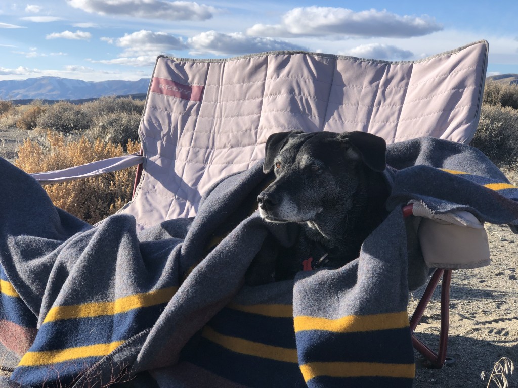 Yakima Camp Blanket-Perfect for Camping