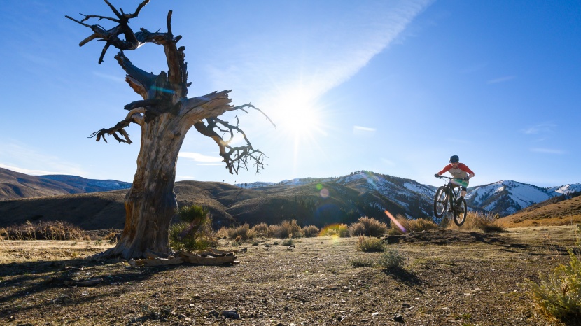 cannondale habit carbon 3 - for as hard as the habit likes to charge it still likes to play. the...