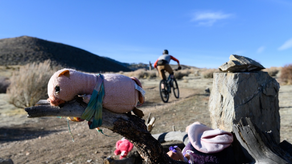 cannondale habit carbon 3 - the habit is a capable climber, it may not be the fastest or the...