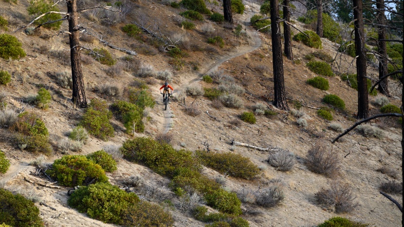 cannondale habit carbon 3 - fast and flowy is where the habit shines the most.