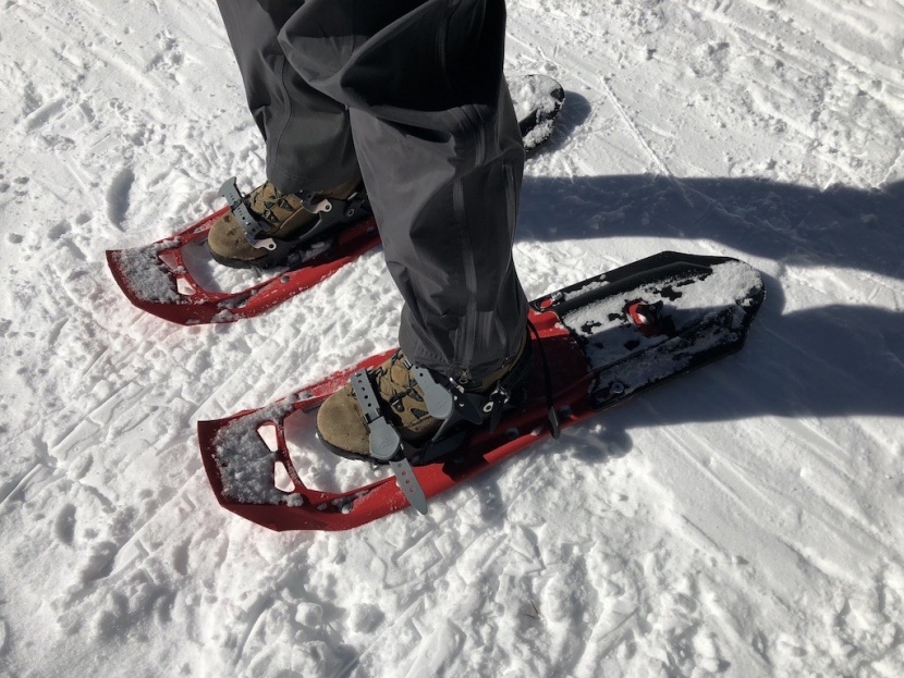 snowshoes - finding a model that offers optional floatation tails really...