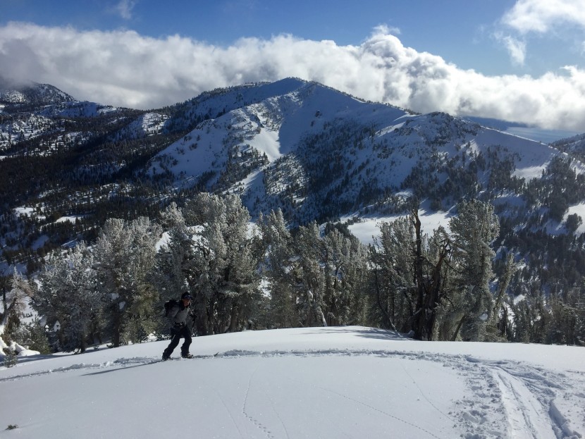 contour hybrid - the hybrid provides a high-quality stride thanks to its 70% mohair...