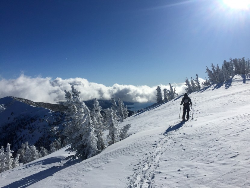 jones nomad pro - the nomad pro offers spectacular glide on lower angle terrain. we...