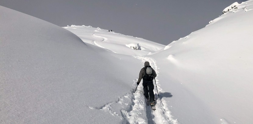 jones nomad pro - the coating applied to the nomad pro of pfc, which reduces the...