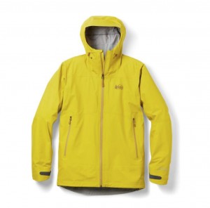 Product photo of REI Co-op Drypoint GTX