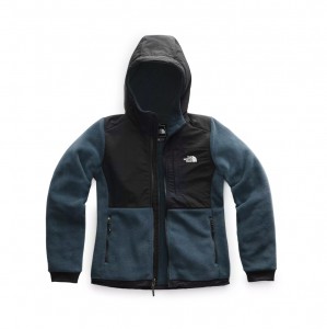 Product photo of The North Face Denali 2 Hoody - Women's