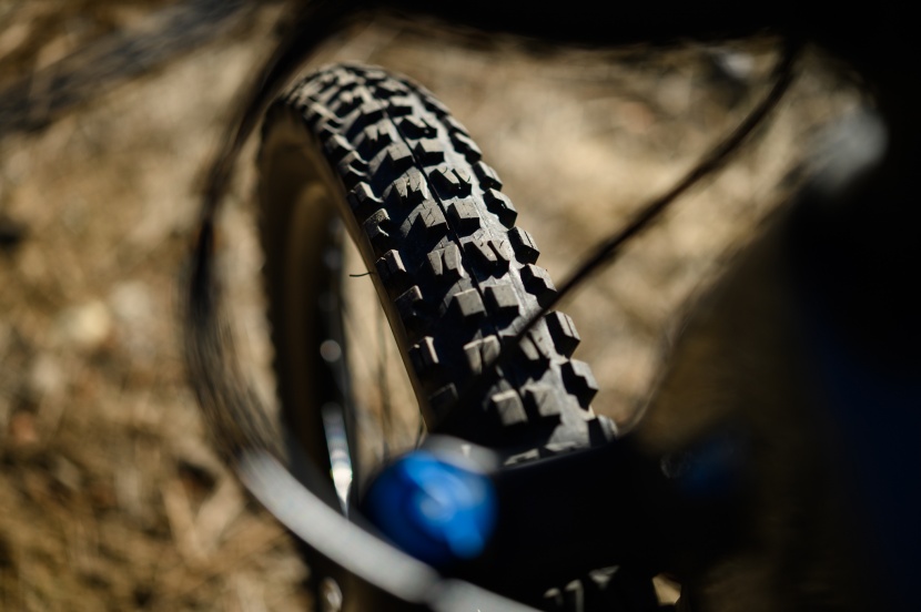 maxxis minion dhf with the exo+ casing in the front.