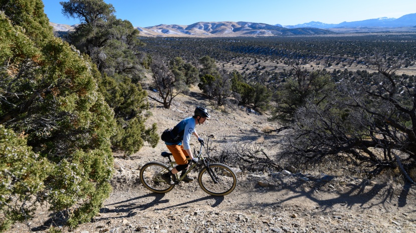 marin pine mountain 2 - the pine mountain is a true jack-of-all-trades.