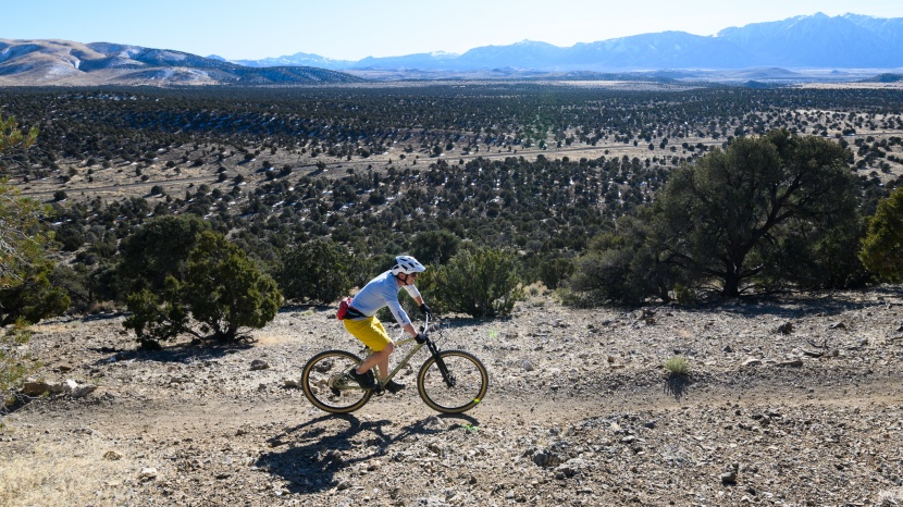 marin pine mountain 2 - the climbing position is very direct thanks to a steep seat tube...