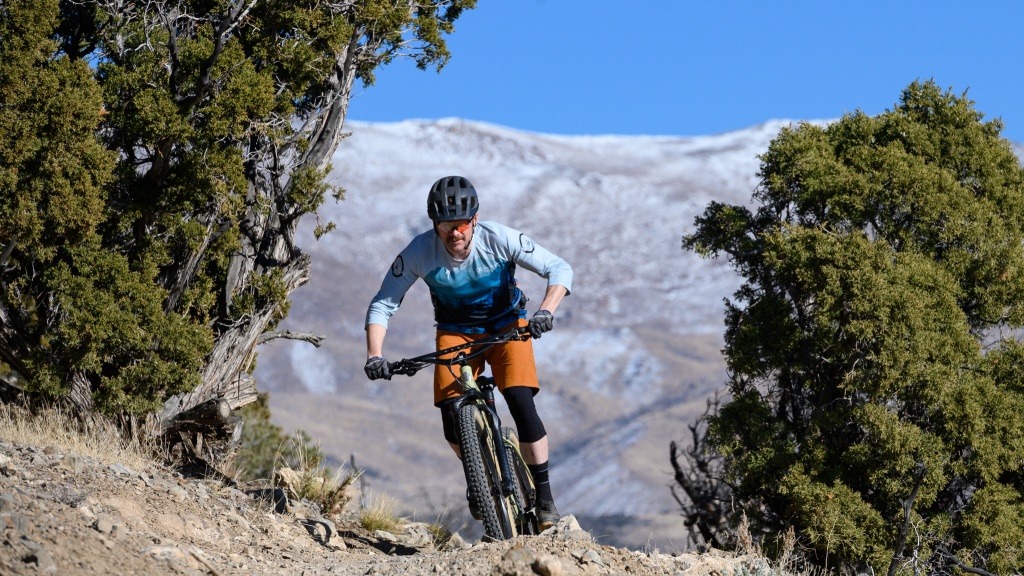 marin pine mountain 2 - despite the weight, the pine mountain scoots uphill effectively.