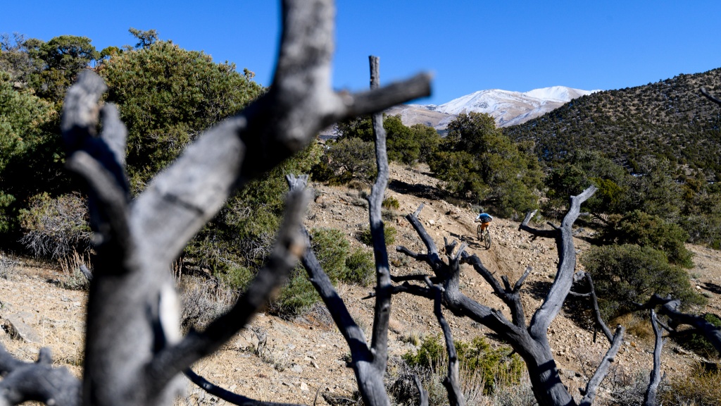 marin pine mountain 2 - we were pleasantly surprised by how well the pine mountain climbed...