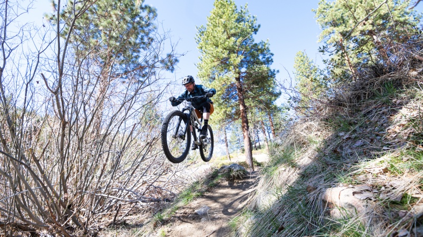 ibis ripmo af nx eagle - the ripmo af is a charger, it takes high-speed airs to flat in stride.