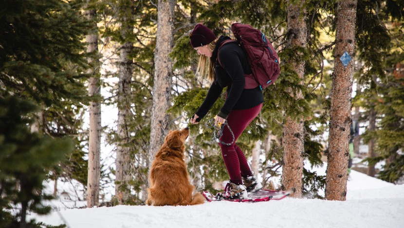 atlas elektra rendezvous - the atlas rendezvous is among our favorite models for being able to...