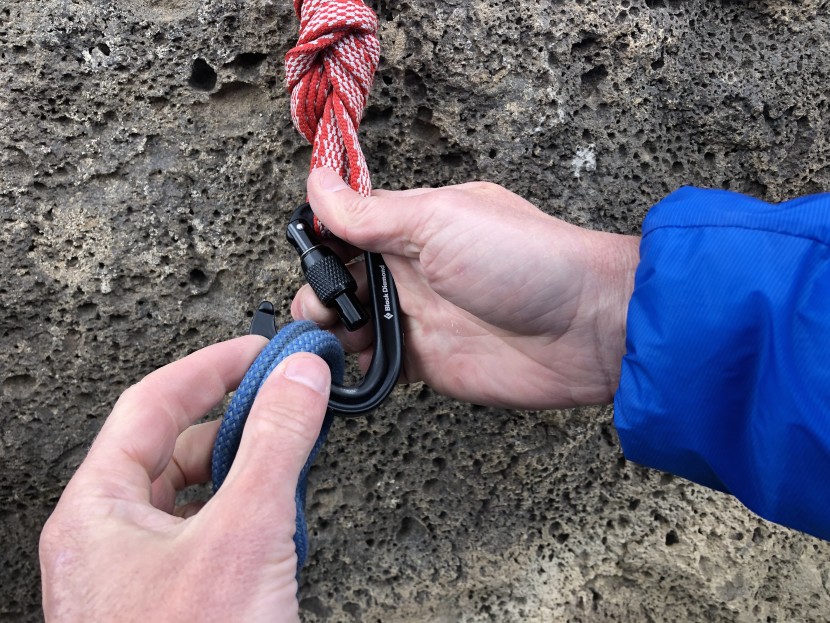 black diamond hotforge screwgate - while the gate clearance is not on the same level as some of the...