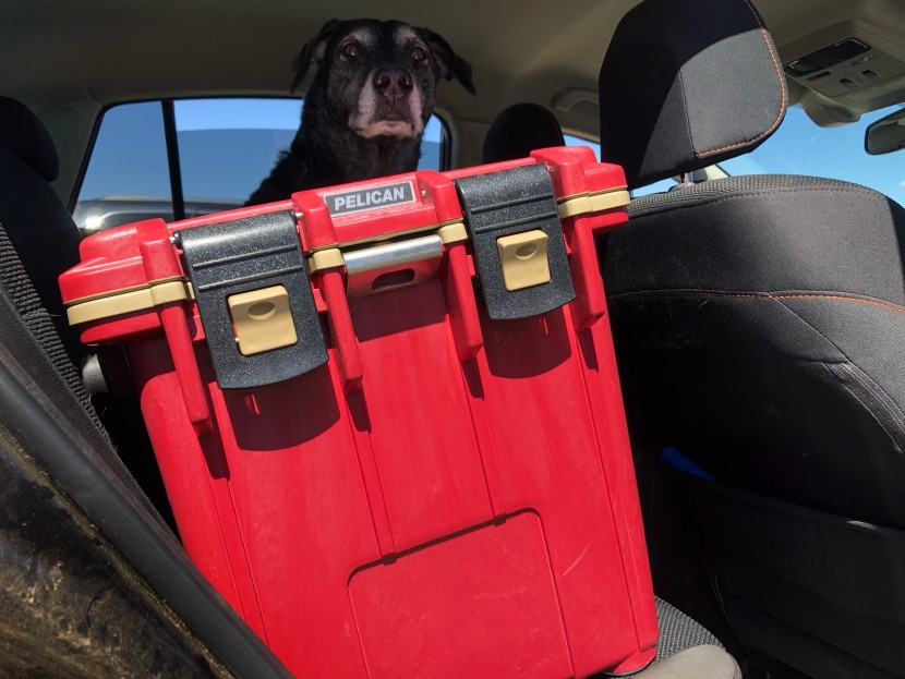 pelican 20 elite - though we don&#039;t love this cooler&#039;s performance, it is easy to throw...