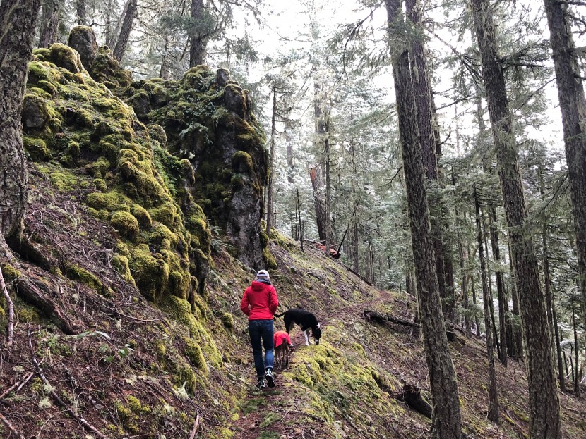 oboz arete low bdry for women - for day hikes in sketchy weather or multi-day hikes, you want a...